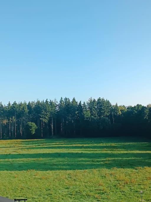 Gemuetliches Appartement Im Kottenforst Naehe Bonn Meckenheim  Luaran gambar